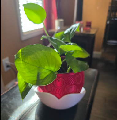 Heart 2 Piece Planter (Actual Product)